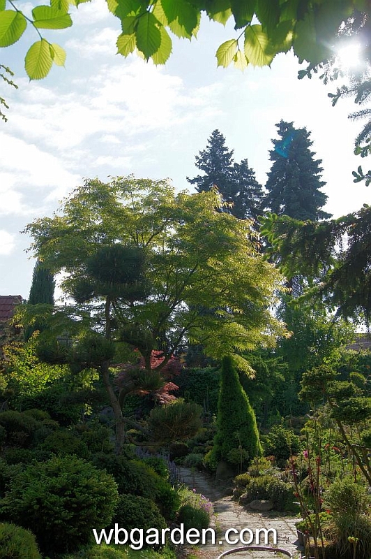 wbgarden spring 59.JPG